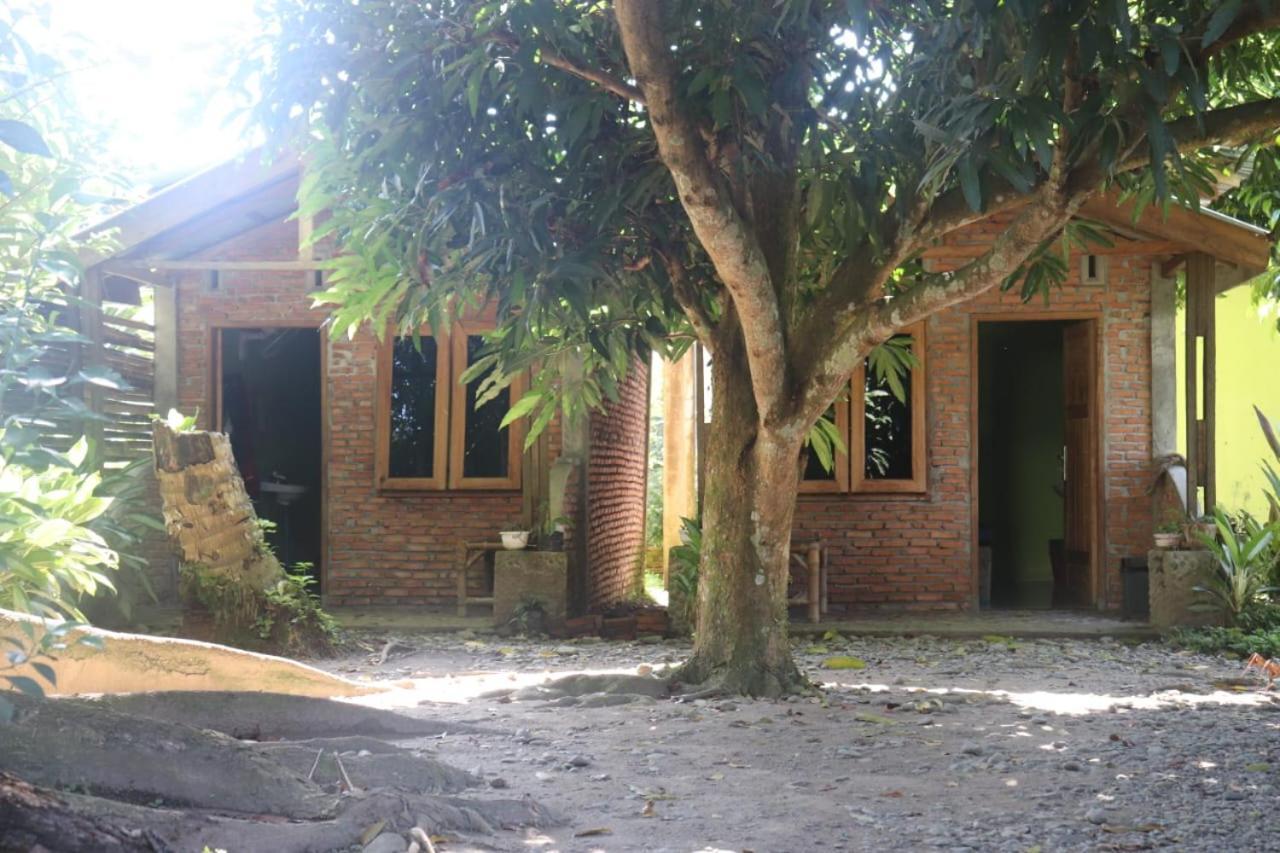 Jhony'S Backpacker-Guest House Only Stay Here Book Treking With Us Bukit Lawang Esterno foto