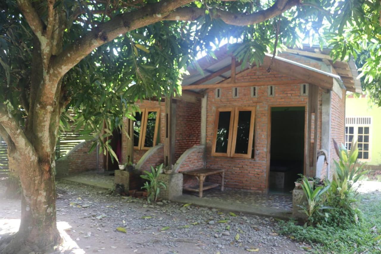Jhony'S Backpacker-Guest House Only Stay Here Book Treking With Us Bukit Lawang Esterno foto