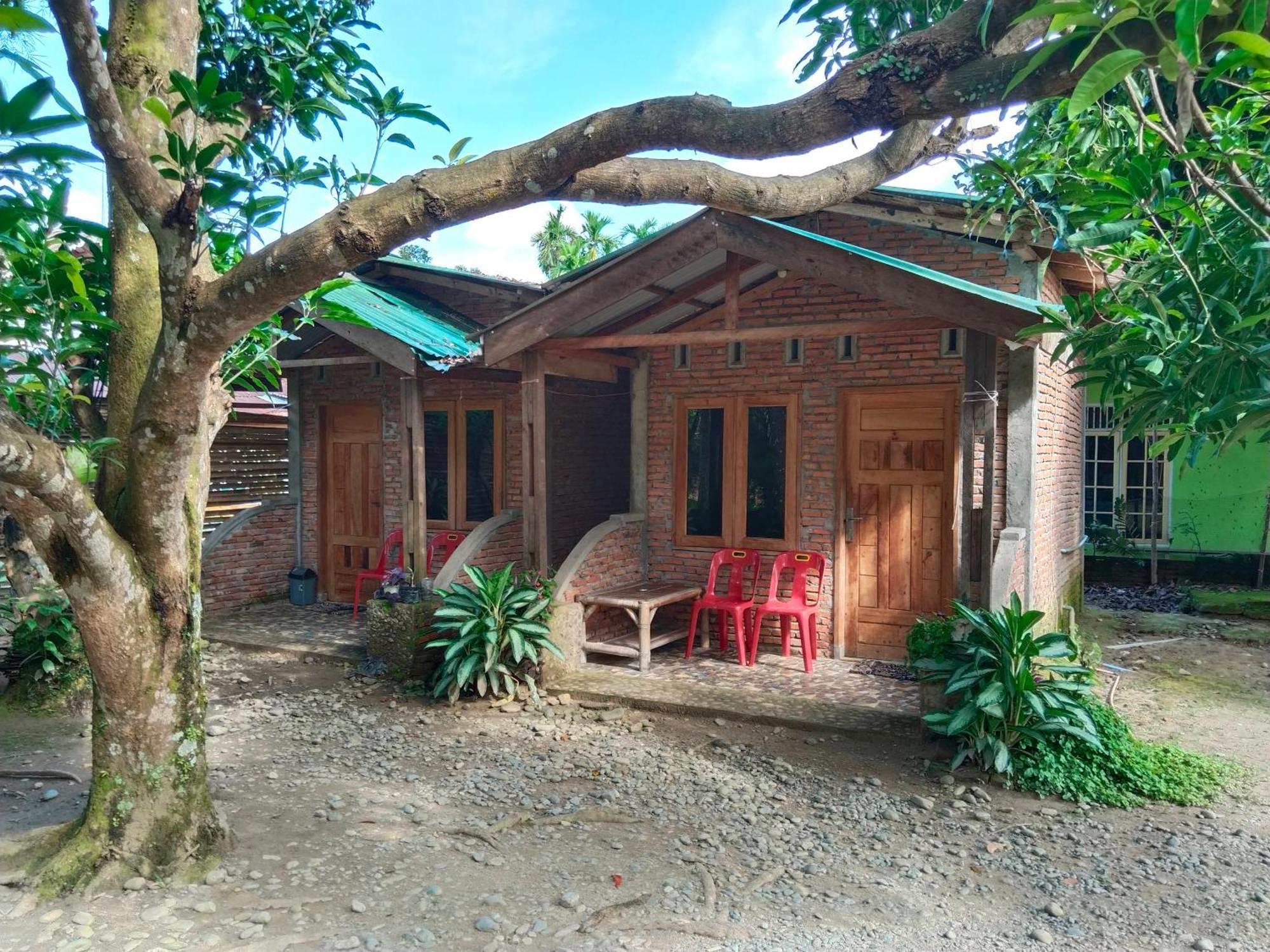 Jhony'S Backpacker-Guest House Only Stay Here Book Treking With Us Bukit Lawang Esterno foto